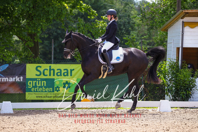 DKP40991 | Turnierfotos kaufen im Webshop von Daniel Kuhl Photography – entdecke professionelle Reitsportfotos aus Turnieren & Events. Hochwertige Turnierbilder online bestellen & sichern. Jetzt Fotos von Reitsportturnieren kaufen!