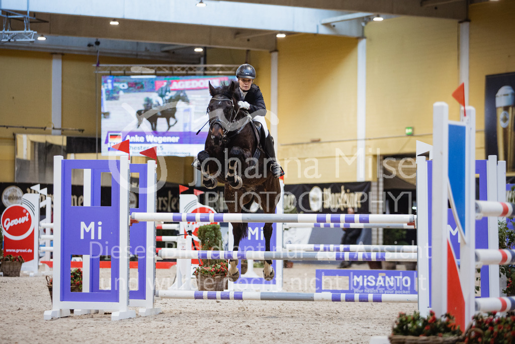 221112_Warstein_L-Spr-164 | Deine schönsten Turniermomente als professionelle Fotos! Entdecke hochwertige Pferdesport-Fotografie im Online-Shop. Jetzt Fotos finden & bestellen!