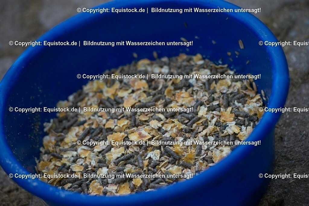 20170118_M__sli_0004 | Foto: Thomas Hartig