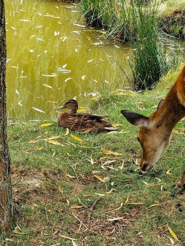 PSX_20220816_233901 | mtkfoto_ - Realisiert mit Pictrs.com