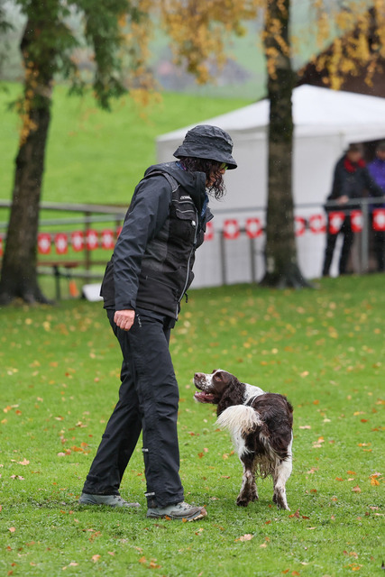 2025_Rally_Obedience_SM-62 | Ich fotografiere Hundeausstellungen, Sportanlässe, Zuchtstätten, Hundezucht, Hundeportrait, Lagotto - Realisiert mit Pictrs.com