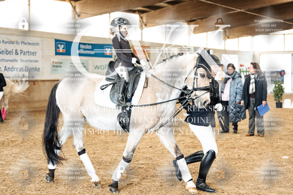 CK906033 | Turnierfotografie Pferdefotografie Trier Rheinland-Pfalz Pferdesport Reitsport Tierfotografie Sportfotografie Pferdevideo Pferdevideografie Equestrianvideography equestrianphotography  - Realisiert mit Pictrs.com