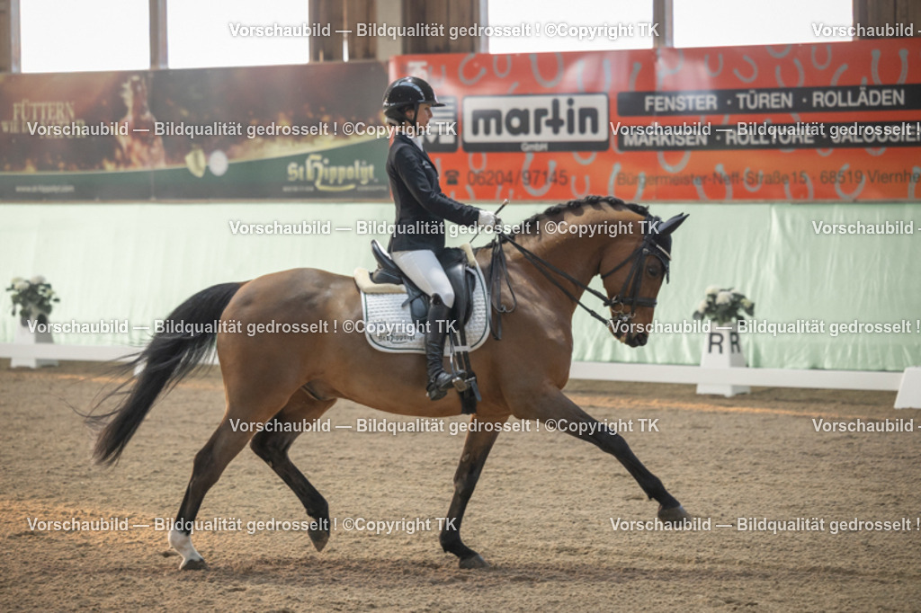 _D5A3856 | Emotionale Pferde- & People-Fotografie rund um Heidelberg, Leimen & Umgebung. Natürliche Fotos von Pferd, Mensch & Familie. Jetzt Termin sichern!