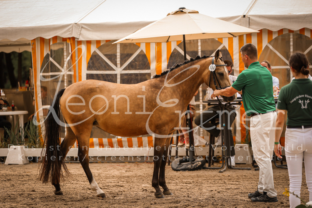 10.So00013 | Leoni Ertmer Photography - Realisiert mit Pictrs.com