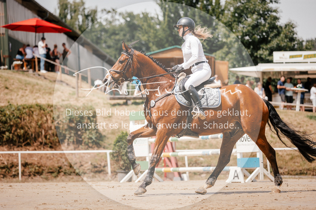 3I6A7768 | Stimmungsvolle Portraits und Reitsportfotografie im Ruhrgebiet und im Münsterland.

Pferdefotografie, Hundefotografie, Tierfotografie, Reportagen, Portraits von Tier und Mensch, Turnierfotografie in Bochum, Recklinghausen, Marl, Haltern am See, Dülmen.. - Realisiert mit Pictrs.com