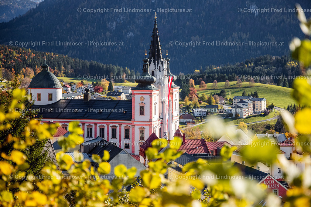 Mariazell Burgeralpe Herbstfotos nebelfrei 25102020-8503 | Fotos und Fotoprodukte - Realisiert mit Pictrs.com