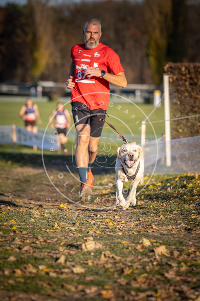 CaniXpix_DV3A4272 | Hundefotografie, Tierfotograf, Pfotenfotografie, Fotoshooting Hund, Hunde Portrait, Hundesport, Hundeportraits, Heideshooting, Hunde, Sportfotograf, Hundefotograf, Turnierhundsport, THS,  - Realisiert mit Pictrs.com