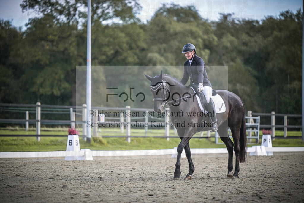 DOS_0891 | Entdecke hochwertige Reitturnierfotos von Foto Oger. Professionell, emotional und authentisch – jetzt Lieblingsmomente im Shop bestellen.Deutschlandweite Turnierfotografie. - Realisiert mit Pictrs.com