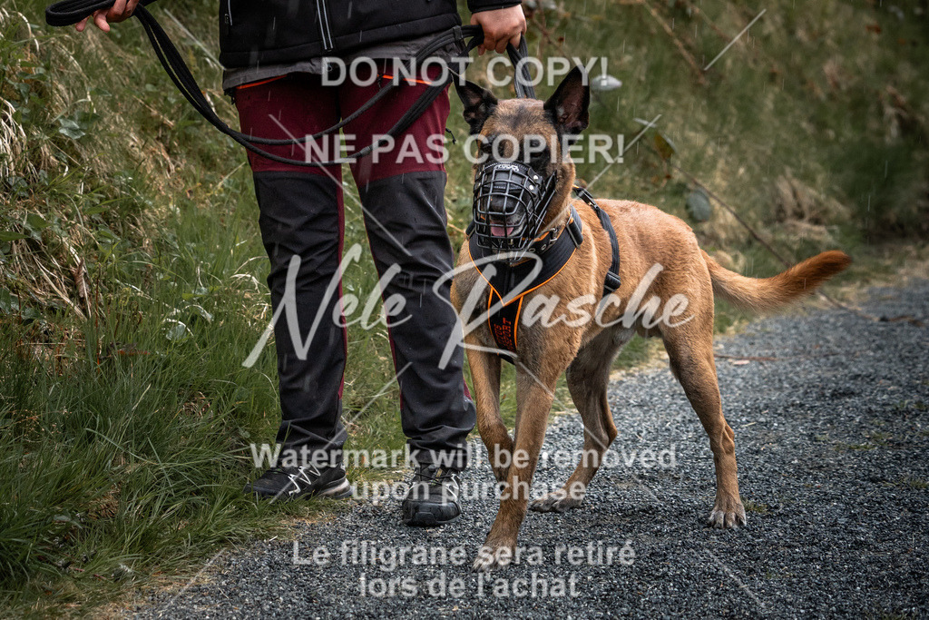 nelerasche_SaAbends_224 | nelerasche - Realisiert mit Pictrs.com