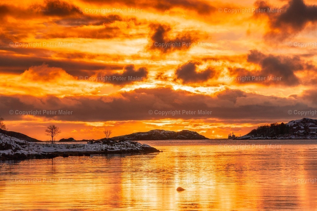 Lofoten_Nov_2023_Peter_Maier-395 | piet_flosse