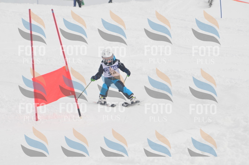 A5231 | holidayphoto