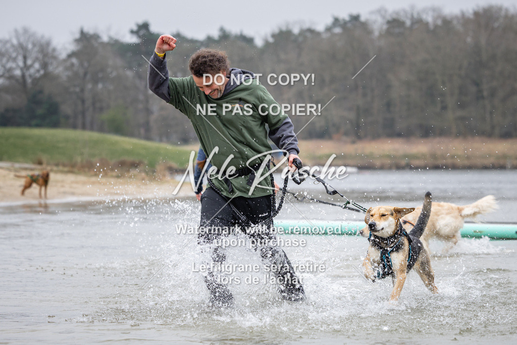 nelerasche_Hulsbeek_Sa1515-1600_612 | nelerasche