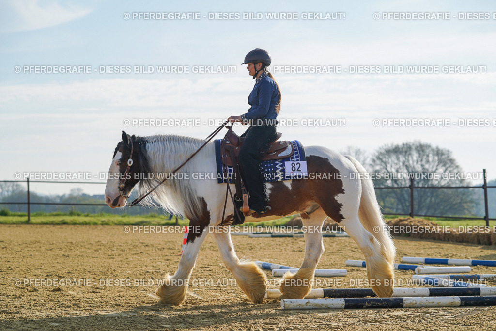 DSC00887 | Pferdegrafie