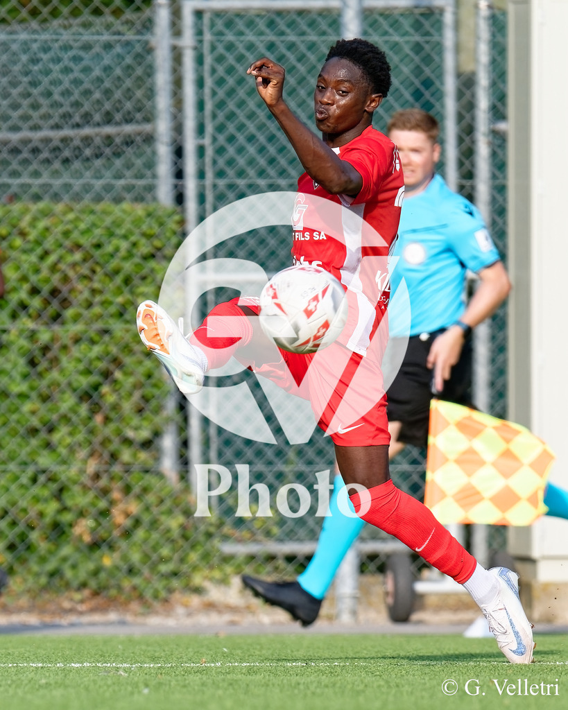 DZ9_4664 | Velletri Photo