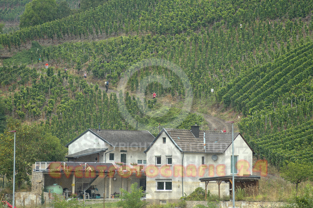 240831_1003_EX1_7333 | Sportfotografie im Rhein-Sieg Kreis, Köln, Bonn, NRW, Rheinland Pfalz, Hessen, etc. Unser Tätigkeitsfeld umfasst den Laufsport vom Volkslauf über den Marathon, Duathlon, Triathon bis zum Ultralauf wie Kölnpfad Ultra oder Schindertrail.