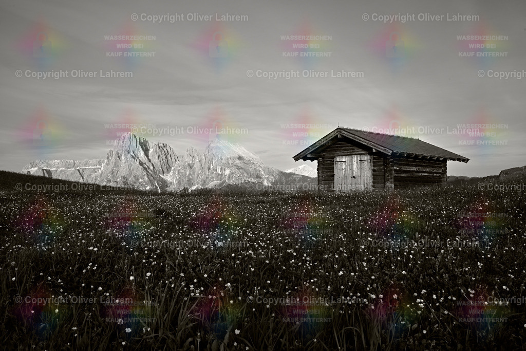 Die Hütte auf der Bergwiese | Auf einer Bergwiese steht eine kleine Holzhütte und im Hintergrund sieht man den Lang- und Plattkofel neben der Sella.