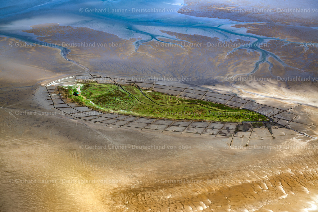 3801911 | Vogelfreistätte Hallig Norderoog, Nationalpark Schleswig-Holsteinisches Wattenmeer