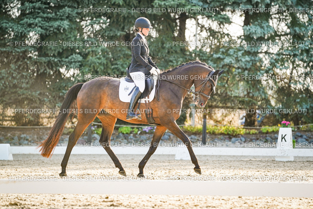 DSC08132 | Pferdegrafie