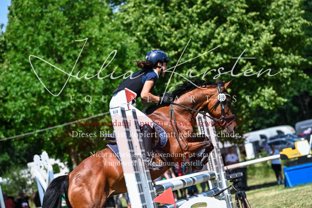 DSC_0911 | Pferde- und Turnierfotografie in Westsachsen. Pferdeportraits, Auftragszeichnungen und intuitive Kunst.