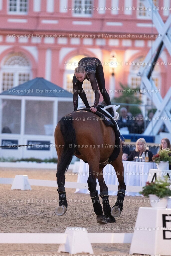 20230527_Voltigieren_NASPA_Flutlicht_0463 | equistock