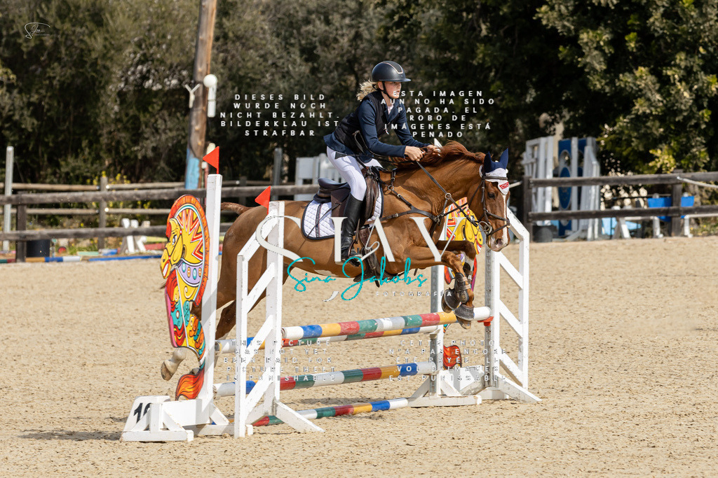 IMG_3185 | s-jay-photography - Realisiert mit Pictrs.com