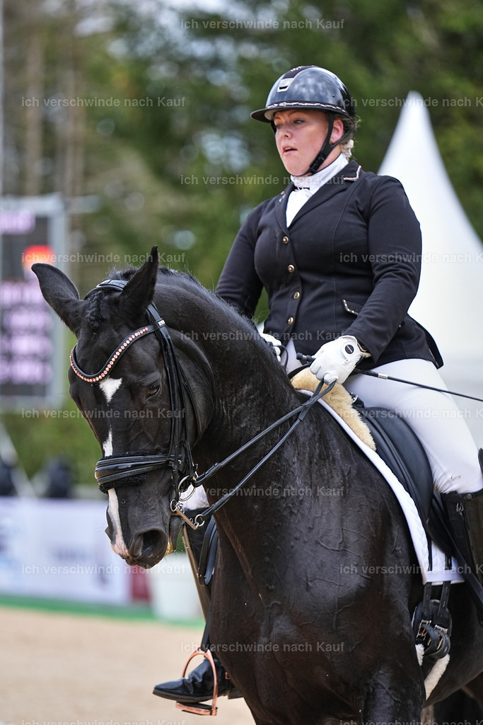 04_1-135-Dressur M__ -Marixx-2727 | working equitationturnier fotograf videograf stoibphotography marixx film working equitation deutschland reitsport turnierfotografie eventfotografie equestrian events