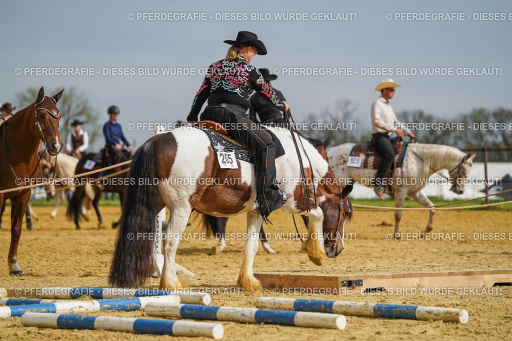 DSC02106 | Pferdegrafie