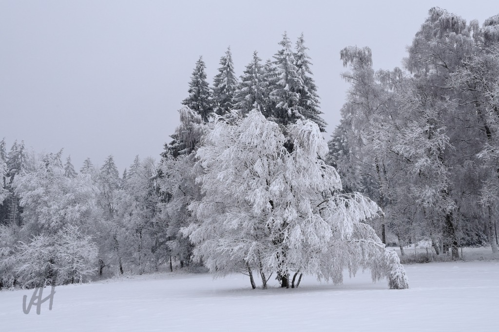Winterstimmung im Kaiserwald | Winterstimmung im Kaiserwald - Realisiert mit Pictrs.com
