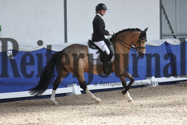 Pforzheim_2024_Prfg.Nr.12_Dressurreiterprfg.Kl.M_Nürnberger-Burgpokal_Cecile Mutz_Capri au Lait (17) | Alle Fotos der Reiterjournal Fotografin Doris Matthaes im Reiterjournal Online-Fotoshop. - Realisiert mit Pictrs.com