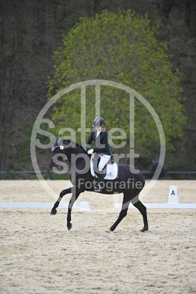 DSC_5270 | sattelsport - Realisiert mit Pictrs.com