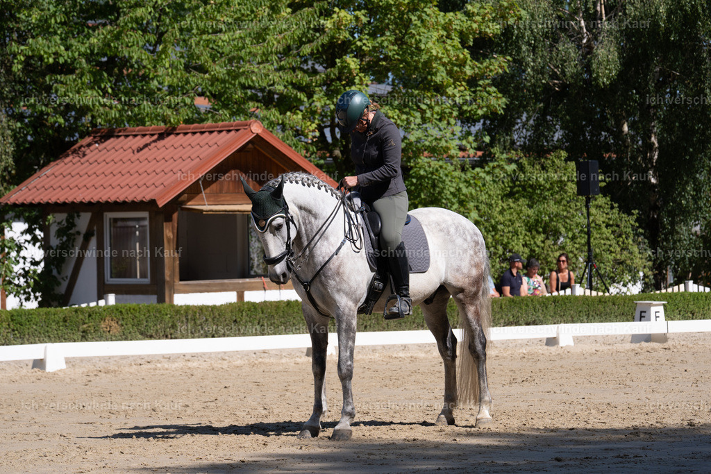 WL_DR_69_sinafilmart_IN07162 | working equitationturnier fotograf videograf stoibphotography marixx film working equitation deutschland reitsport turnierfotografie eventfotografie equestrian events