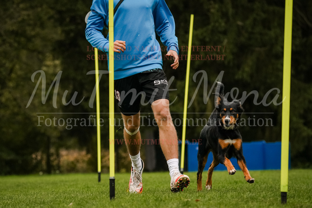 20251005_THS_Turnier-485 | MuT (Mensch und Tier) mit Mona - Fotografie und Tierkommunikation - Realisiert mit Pictrs.com