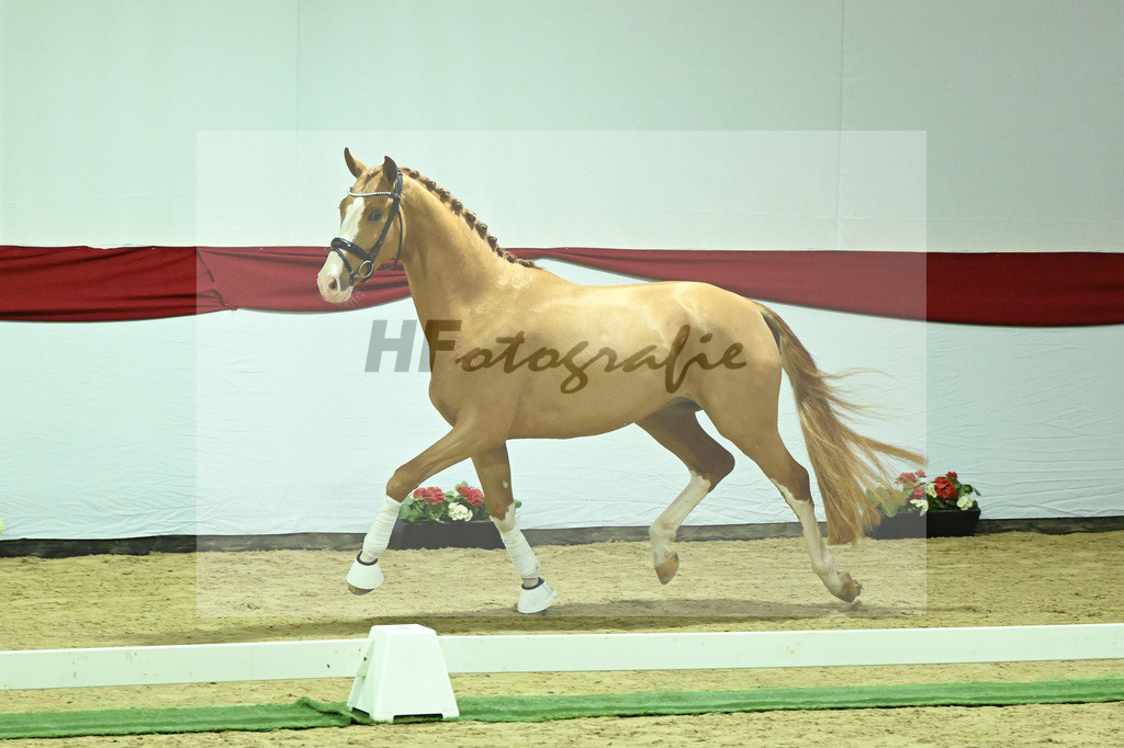 Kat-Nr. 10 v. Fuerst Samarant_Beckmann_63220018 | hf-fotografie - Realizzato con Pictrs.com