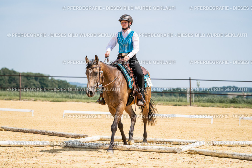 DSC00933 | Pferdegrafie