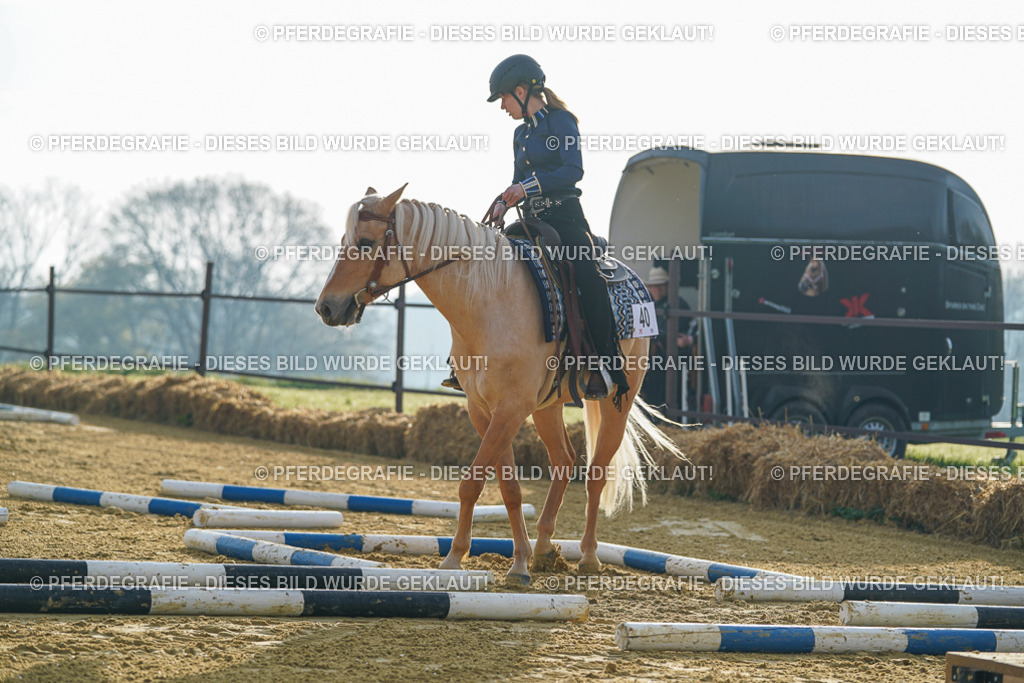 DSC09948 | Pferdegrafie