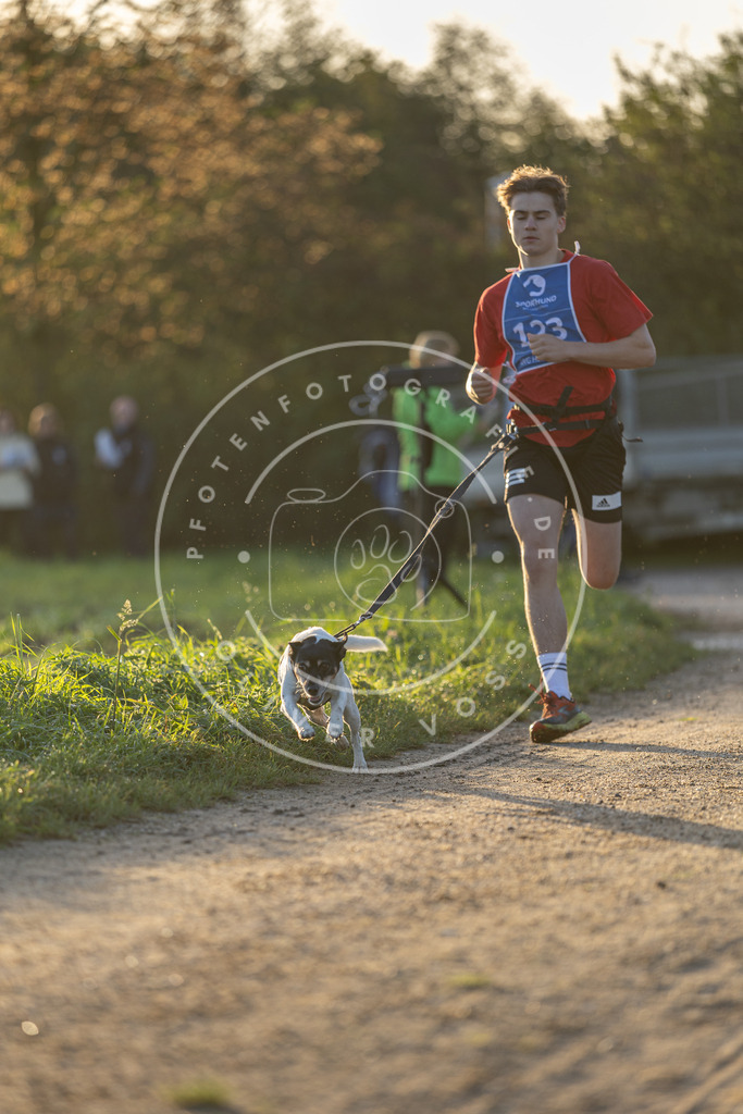 Pfotenfotografie.de_DV3A2400 | Hundefotografie, Tierfotograf, Pfotenfotografie, Fotoshooting Hund, Hunde Portrait, Hundesport, Hundeportraits, Heideshooting, Hunde, Sportfotograf, Hundefotograf, Turnierhundsport, THS, canicross - Realisiert mit Pictrs.com