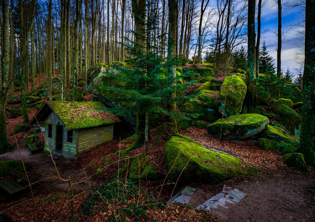 MPI_Landscape_0012 | Mystische Stimmung am Brigittenschloss in Sasbachwalden  - Realisiert mit Pictrs.com