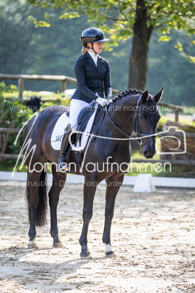 Donop24-A2-Dre-027 | MomenTaufnahmen Pferdesportfotos