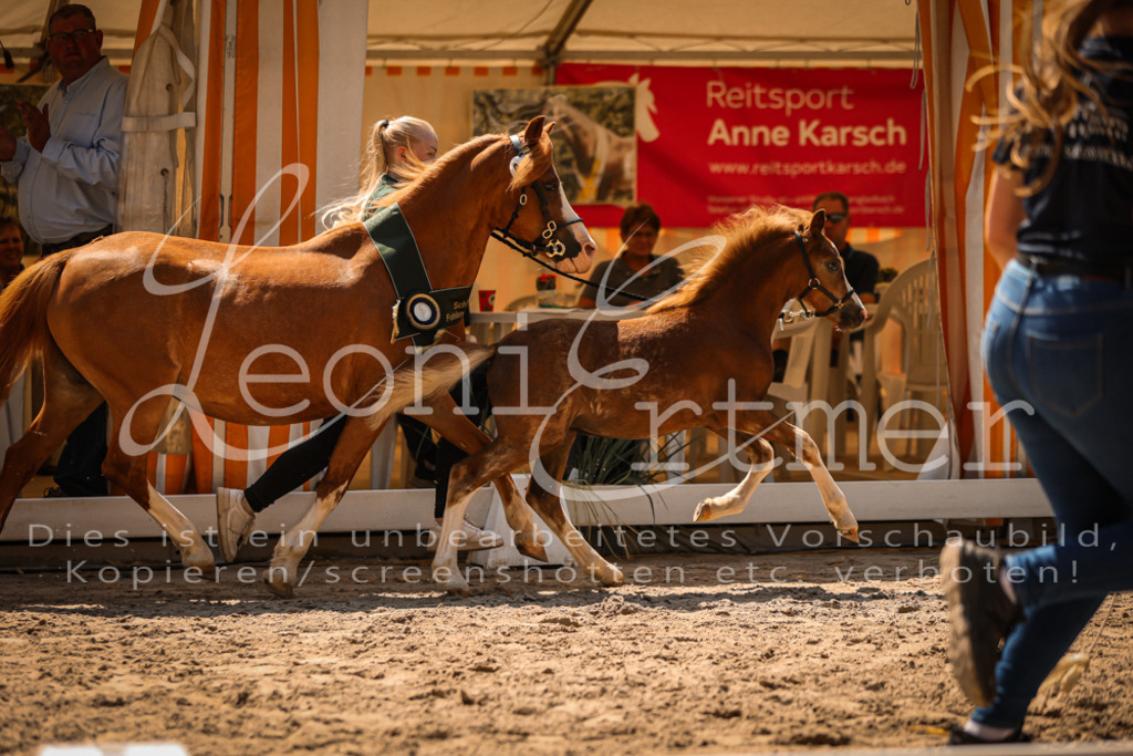 04.DoWP00119 | Leoni Ertmer Photography - Realisiert mit Pictrs.com