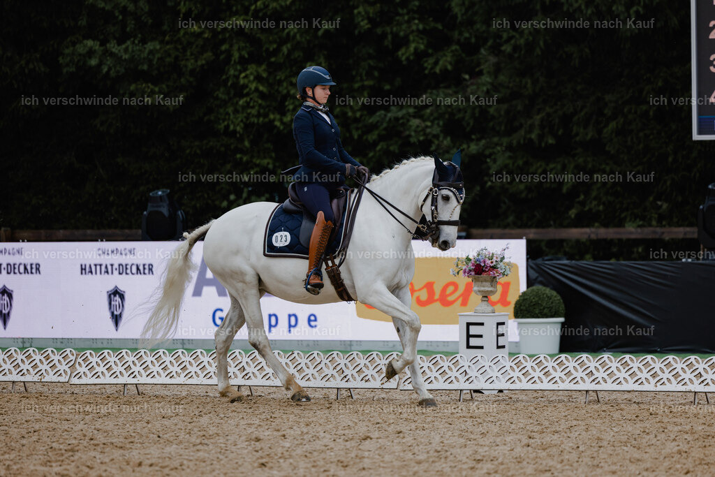 Steffi23_FHC2025-8 | working equitationturnier fotograf videograf stoibphotography marixx film working equitation deutschland reitsport turnierfotografie eventfotografie equestrian events