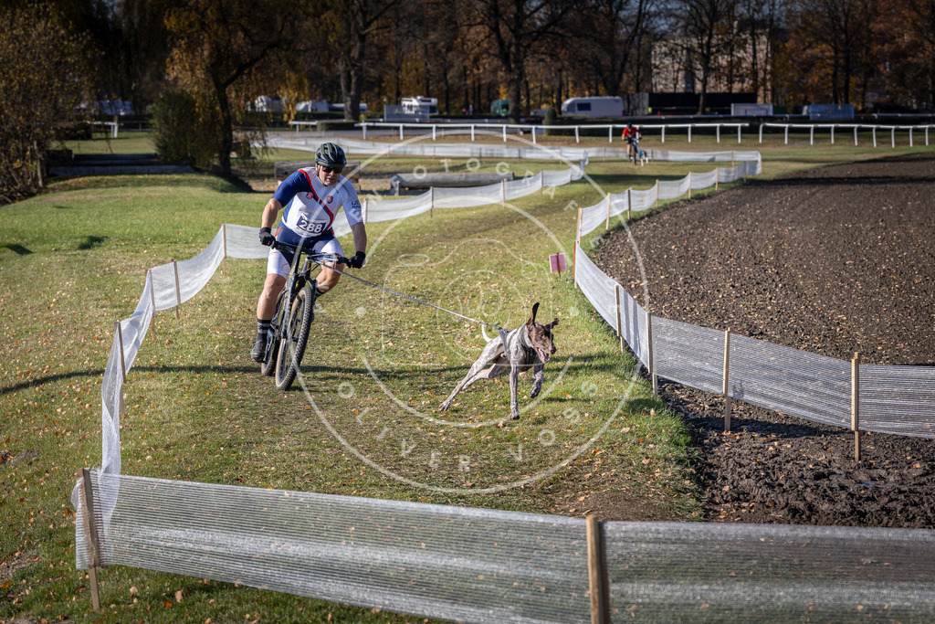 CaniXpix_DV3A5758 | Hundefotografie, Tierfotograf, Pfotenfotografie, Fotoshooting Hund, Hunde Portrait, Hundesport, Hundeportraits, Heideshooting, Hunde, Sportfotograf, Hundefotograf, Turnierhundsport, THS,  - Realisiert mit Pictrs.com