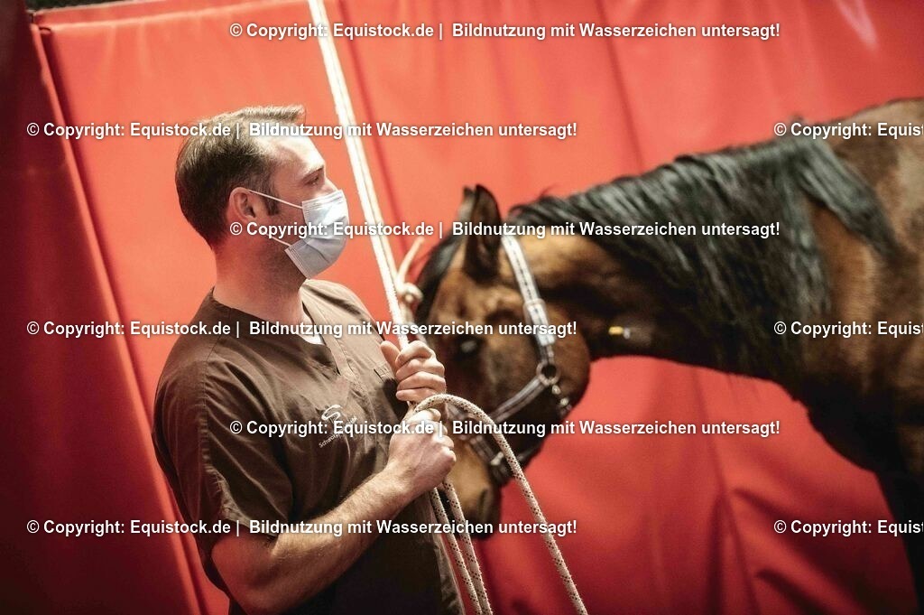 20201126_Narkose_0002 | equistock