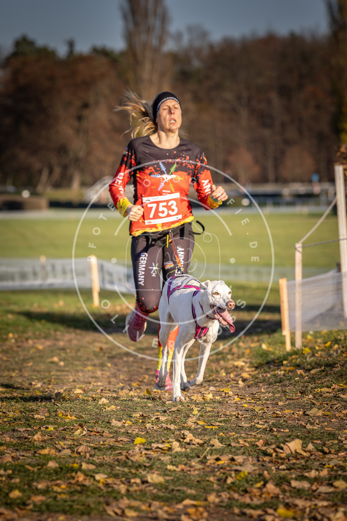 CaniXpix_DV3A2503 | Hundefotografie, Tierfotograf, Pfotenfotografie, Fotoshooting Hund, Hunde Portrait, Hundesport, Hundeportraits, Heideshooting, Hunde, Sportfotograf, Hundefotograf, Turnierhundsport, THS,  - Realisiert mit Pictrs.com