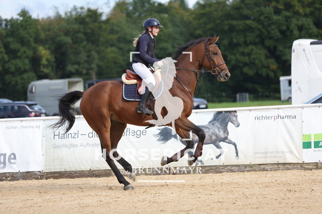 0P6A9045 | Willkommen bei Brunnmayr - Design & Fotografie – Ihrem Spezialisten für Reitturniere und Pferdeveranstaltungen in Oberösterreich, Salzburg und Bayern! Seit über 17 Jahren sind wir leidenschaftlich dabei.