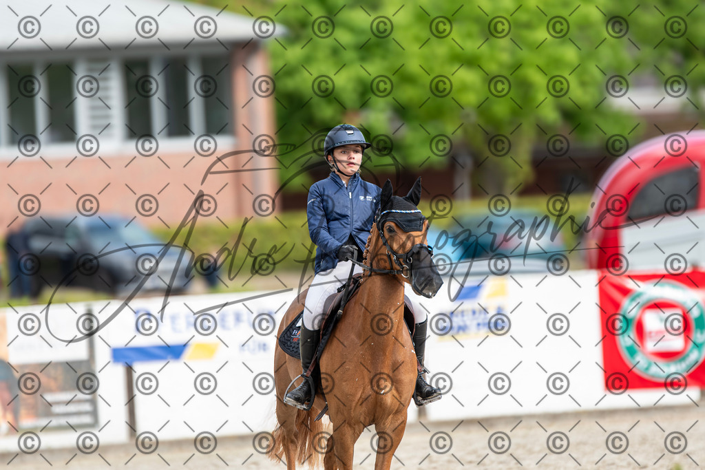 KPT_7952 | andre_photographic