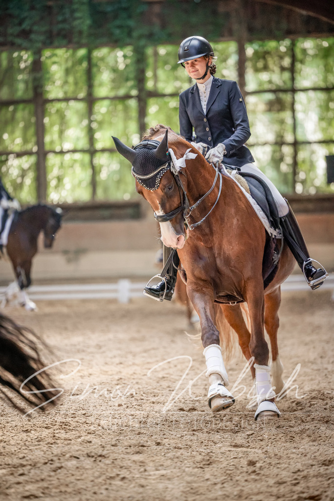 20250621-_3LI0289 | Tierfotografie Pferde, Hunde, Katzen, Haustiere.
Turnierfotografie Reitturniere, Reiten, Springreiten, Dressur in Hanau, dem Main-Kinzig-Kreis und dem Rhein-Main- Gebiet um Frankfurt