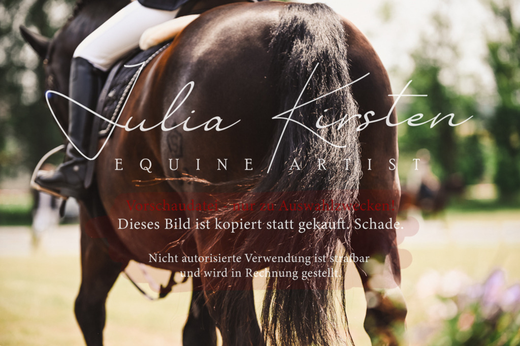 DSC_6387 | Pferde- und Turnierfotografie in Westsachsen. Pferdeportraits, Auftragszeichnungen und intuitive Kunst.