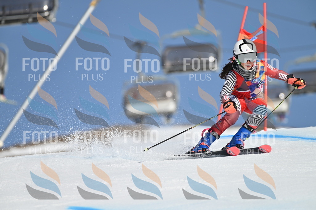 BGV_7869 | holidayphoto