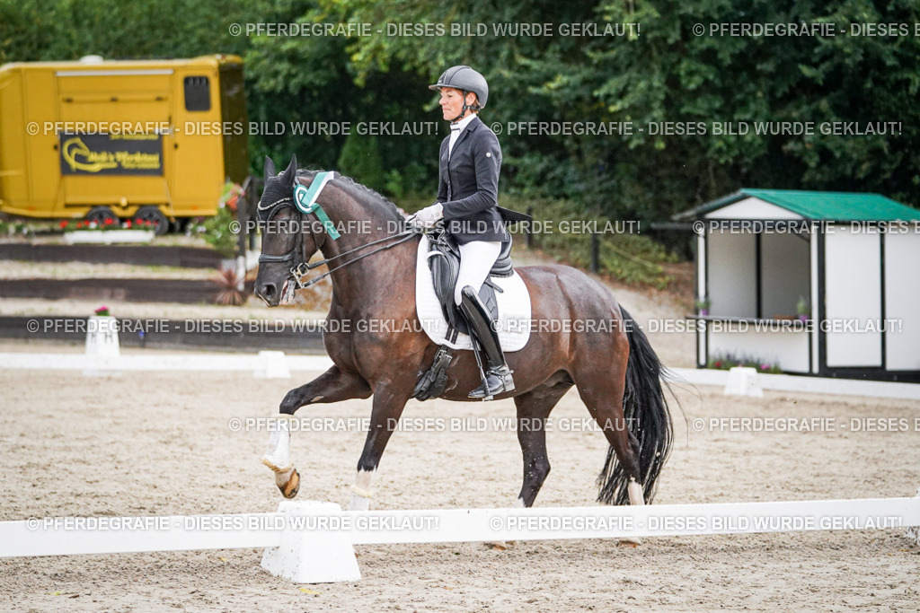 DSC00022 | Pferdegrafie