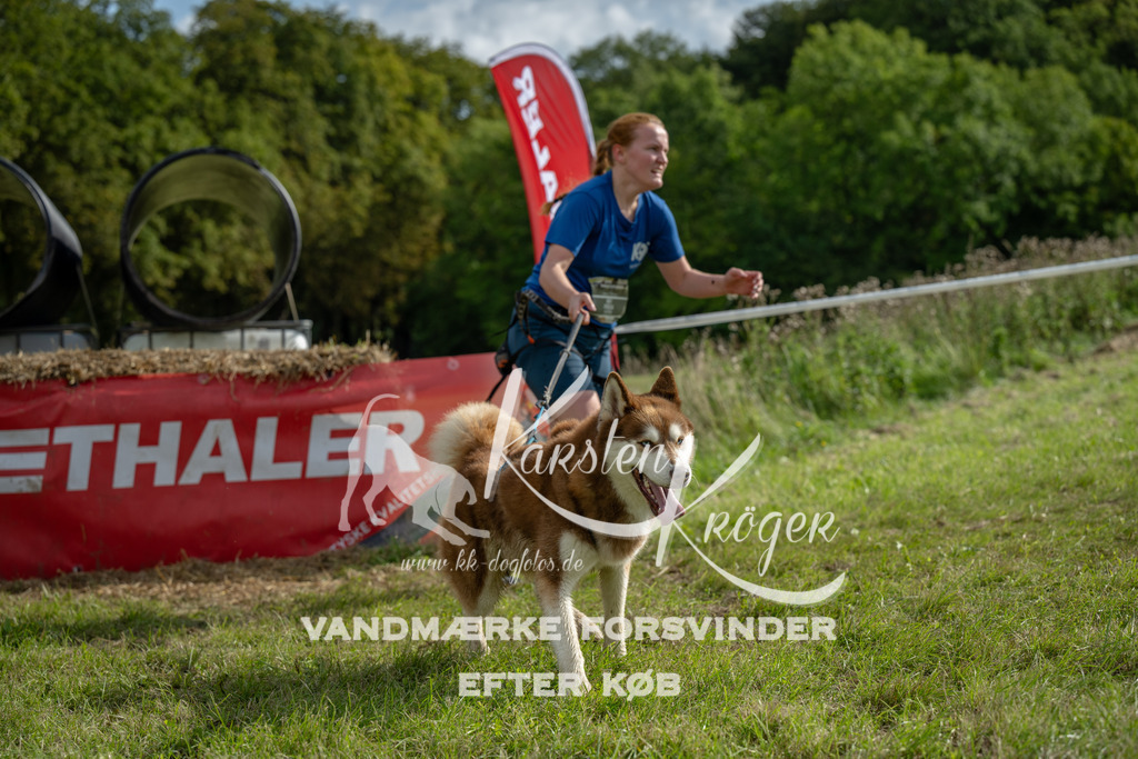 1017_ZZ91755 | kk-dogfotos